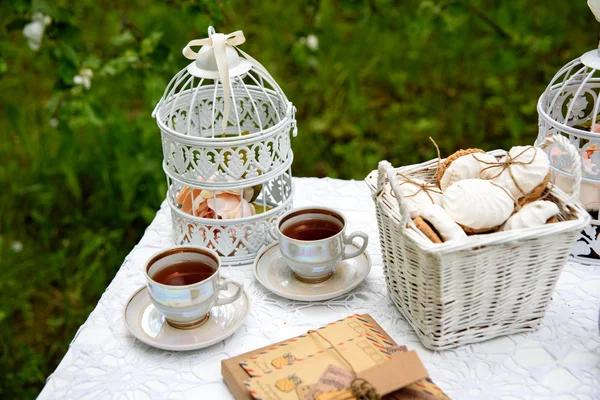 Пикник - чай и печенье — стоковое фото