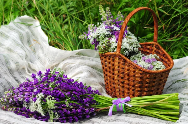 Piknik na louce v rustikálním stylu. Košík s květinami Lupina. — Stock fotografie