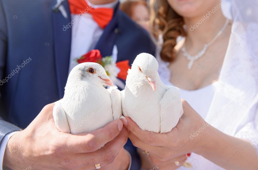 Happy bride and groom holding white doves in hands