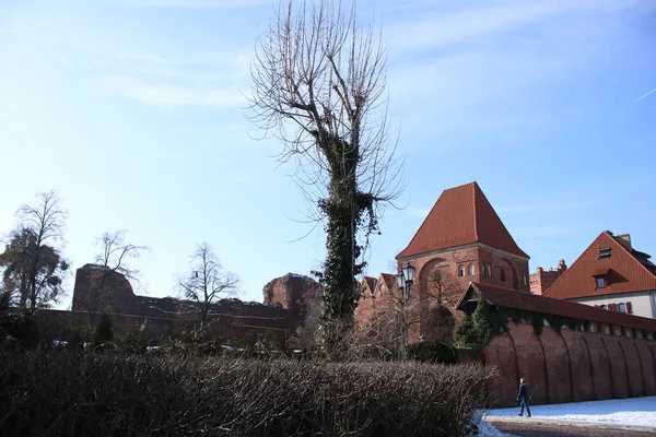 2021 Torun Πολωνία Ruins Teutonic Castle Torun — Φωτογραφία Αρχείου