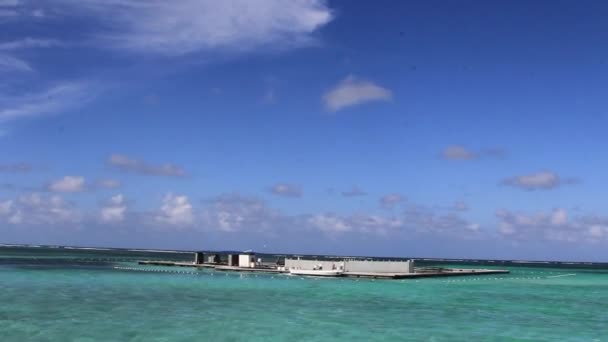 Der Flug des Segelflugzeugs über dem Meer — Stockvideo