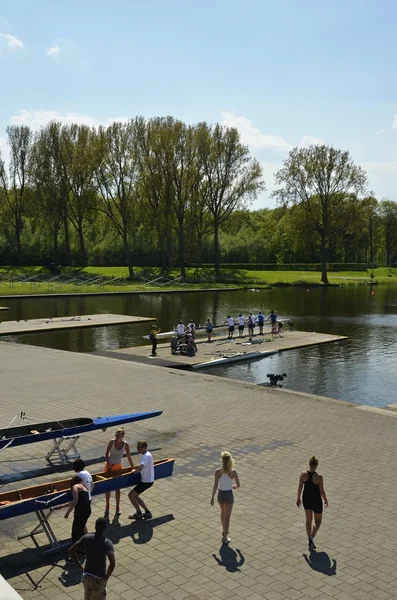 Rowers Amsterdam Orman