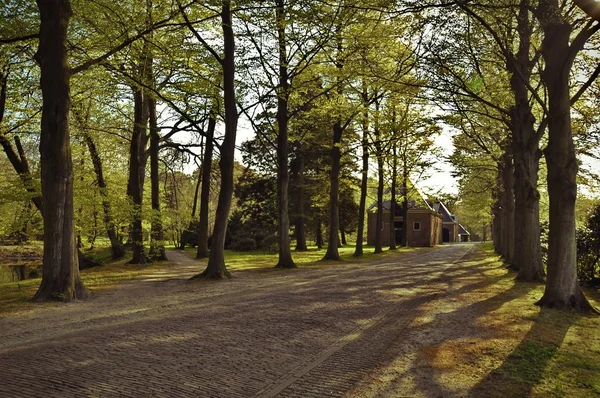 Orangerie Elswout — Stock fotografie