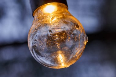 Donmuş dekoratif ampul arka planda bulanık..