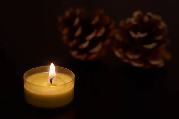 A candle in darkness with blurred pine cones on a background.
