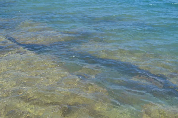 Água do mar clara com um fundo rochoso. — Fotografia de Stock