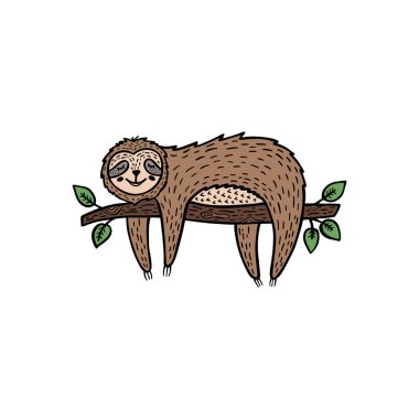 Çizgi film tembeli ayısı bir dala asılmış. El çizimi şirin karalama vektör çizimi.