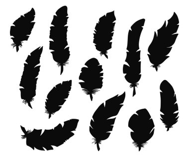 El yapımı kuş tüyleri. Tek renkli çizim ögeleri. 