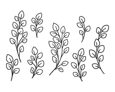 El yapımı okaliptüs dalları ve yaprakları. Grafiksel çiçek elementleri.