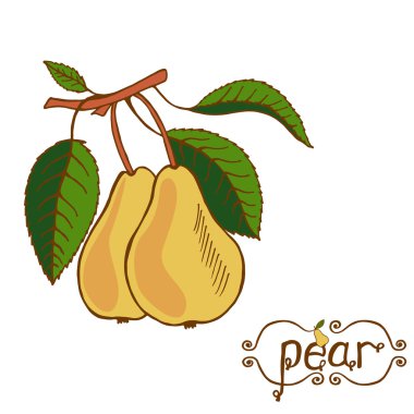 Beyaz arka plan üzerinde büyük sarı armut