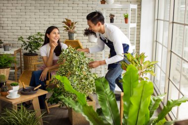 Asyalı yakışıklı bir adam ve güzel bir kadın saksı bitkileriyle ilgileniyor.