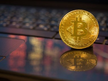 Defter arkaplanındaki altın bitcoin