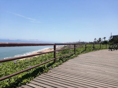 Arka planda Pasifik Okyanusu olan parktaki korkuluklu ahşap patika.