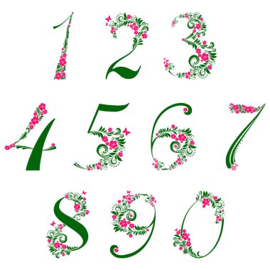 Çiçek elementleriyle süslü sayılar