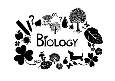 Biyoloji temalı vektör çizimi