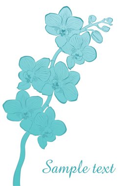 Çiçek vektör çizimi, poster tasarımı