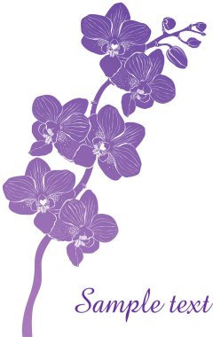 Çiçek vektör çizimi, poster tasarımı