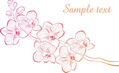Çiçek vektör çizimi, poster tasarımı
