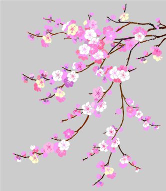 Sakura kiraz çiçeği ağaç vektör illüstrasyon arka planı 