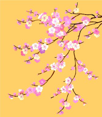 Sakura kiraz çiçeği ağaç vektör illüstrasyon arka planı 
