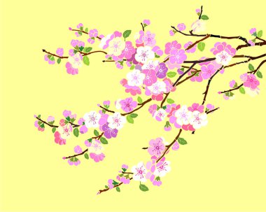 Sakura kiraz çiçeği ağaç vektör illüstrasyon arka planı 