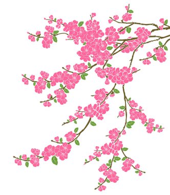 Sakura kiraz çiçeği ağaç vektör illüstrasyon arka planı 