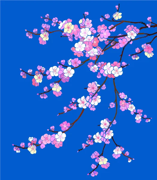 Sakura Cseresznyevirág Vektor Illusztráció Háttér — Stock Vector