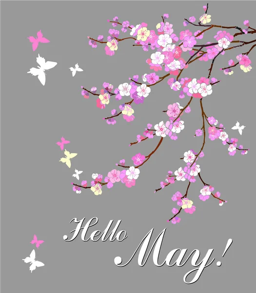 Векторная Иллюстрация Hello May — стоковый вектор