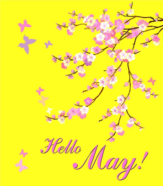Hello May Vector Illustration Background — Stock Vector