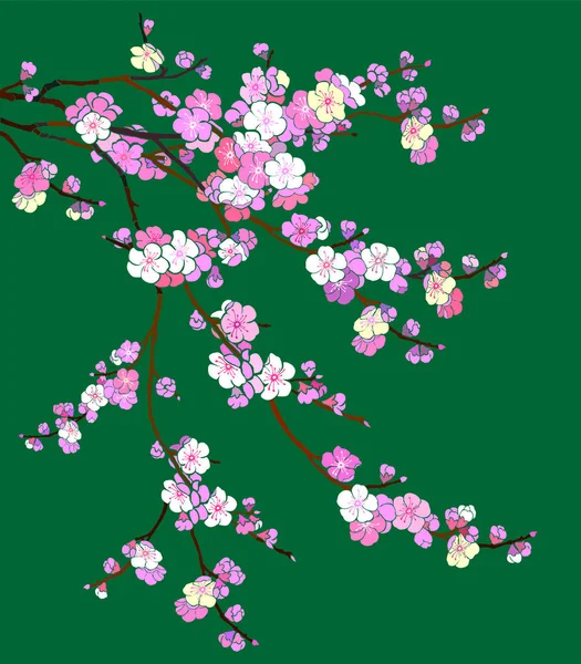 Sakura Vektor Illusztráció Háttér — Stock Vector
