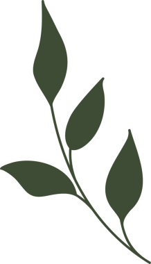 Koyu yeşil dal düz dekoratif sanat yaprakları