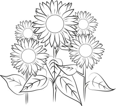 Boyama sayfası. Ayçiçeklerinden renklere. Siyah beyaz çiçekler. Yaz.