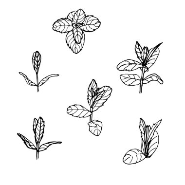 Nane kümesi bırakır. Vektör