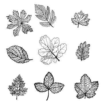 set vektör çizim sanat sembol bırakır