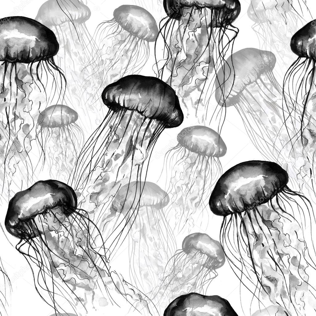 Black And White Jellyfish Photography