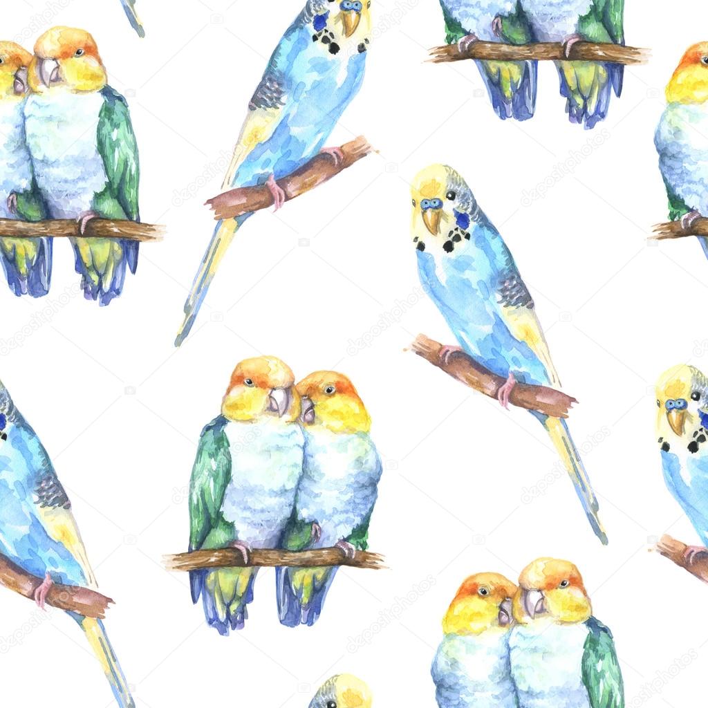 Watercolor pattern with parrots