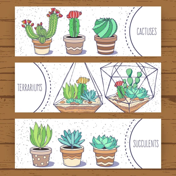 Banderas de suculentas y cactus — Vector de stock