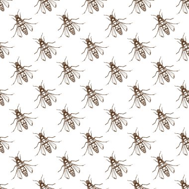 Bugs or bee seamless pattern