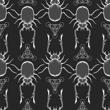 Geometri ile boynuzlu böcek