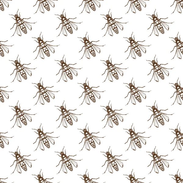 Bugs or bee seamless pattern — Stock vektor