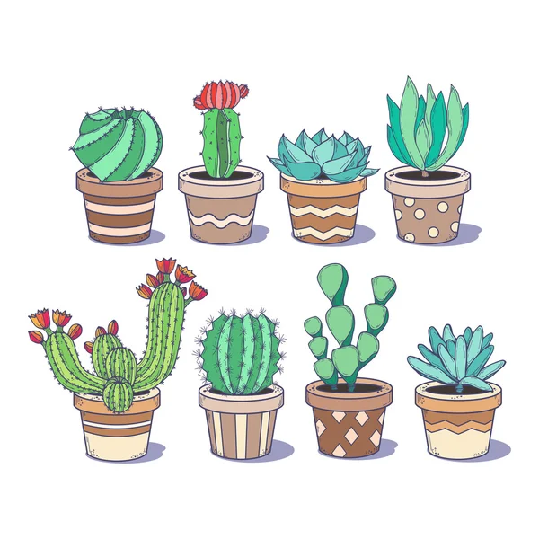 Cute cactus and succulent set — Stock Vector