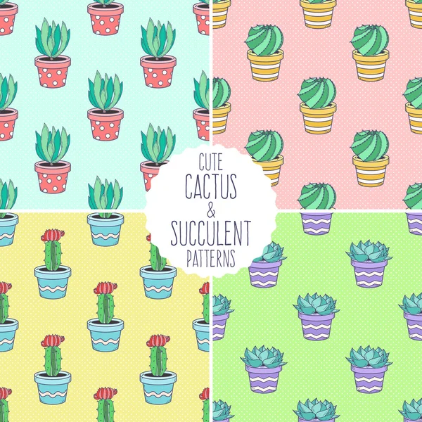 Cactus and succulent seamless pattern set — Stock Vector