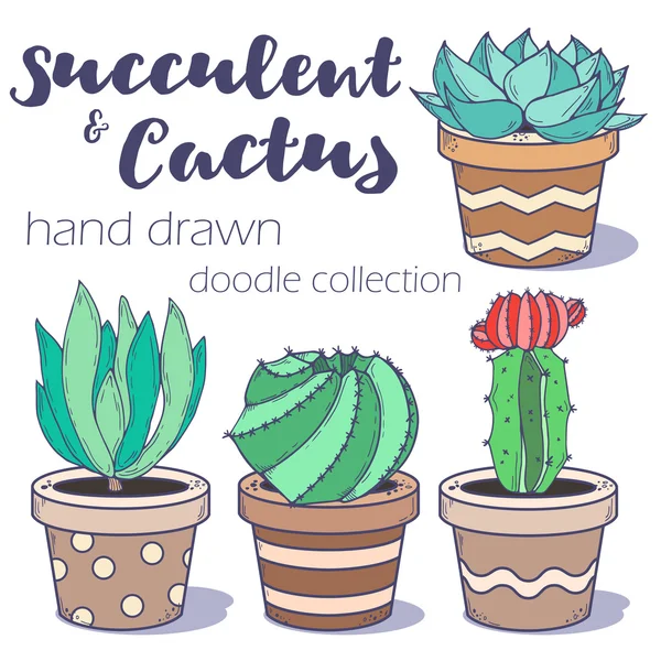 Set di cactus e succulente — Vettoriale Stock