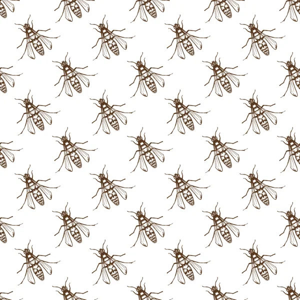 Bugs ou abelha sem costura padrão — Vetor de Stock
