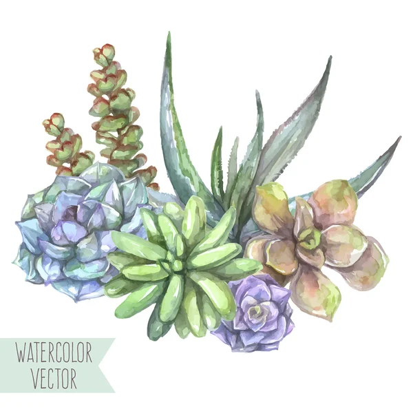 Aquarela florista composição — Vetor de Stock