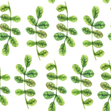 yeşil dallar ve yapraklar