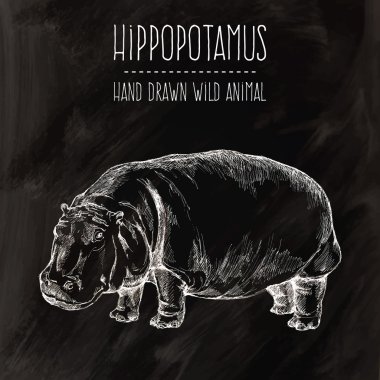 Kara tahta zemin üzerine su aygırı