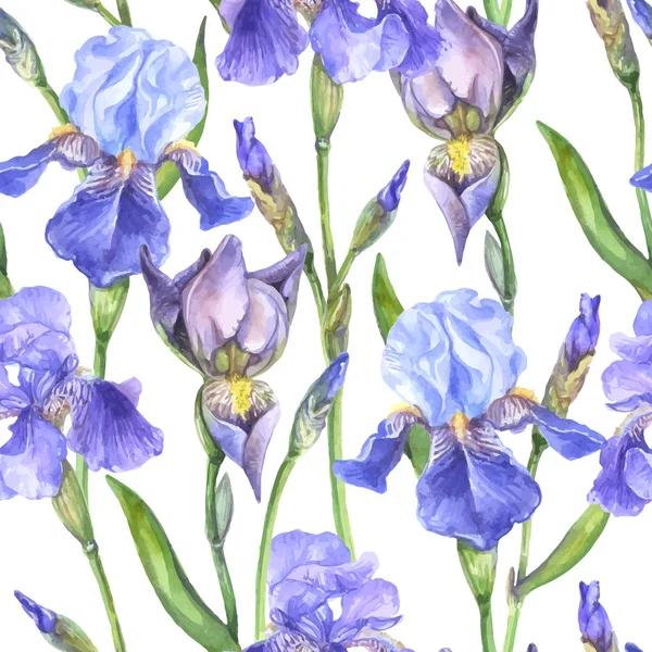 Acquerello senza soluzione di continuità modello iris fiori — Vettoriale Stock