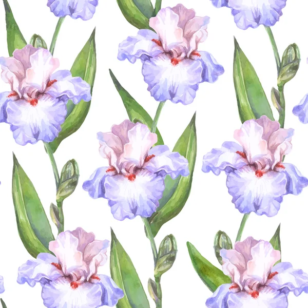 Acuarela patrón sin costura flores de iris — Archivo Imágenes Vectoriales