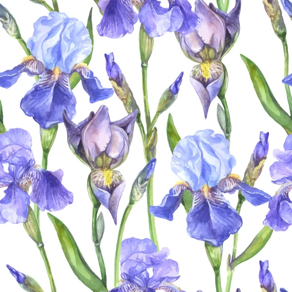 Acuarela patrón sin costura flores de iris — Archivo Imágenes Vectoriales